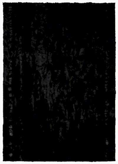 MUSTANG REX KÜRK DERİ SİYAH VİZON 140*200