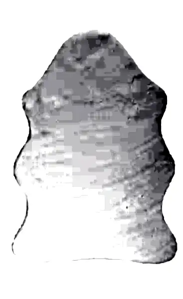 RABBIT POST KUZU KREM