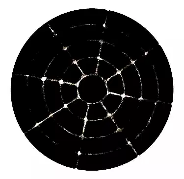 RABBİT KÜRK 012 SİYAH-GOLD YUVARLAK