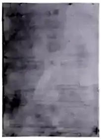 RABBIT POST DÜZ GRİ