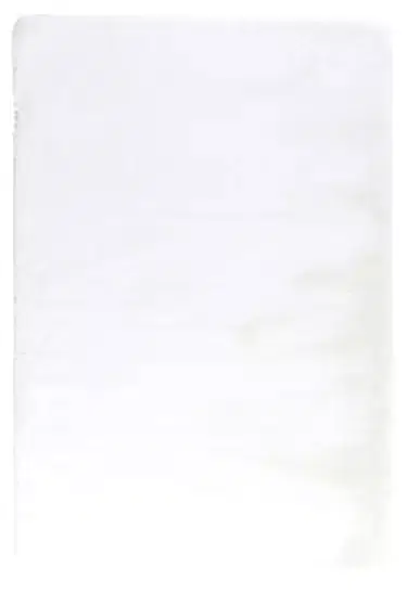 RABBIT POST DÜZ KREM